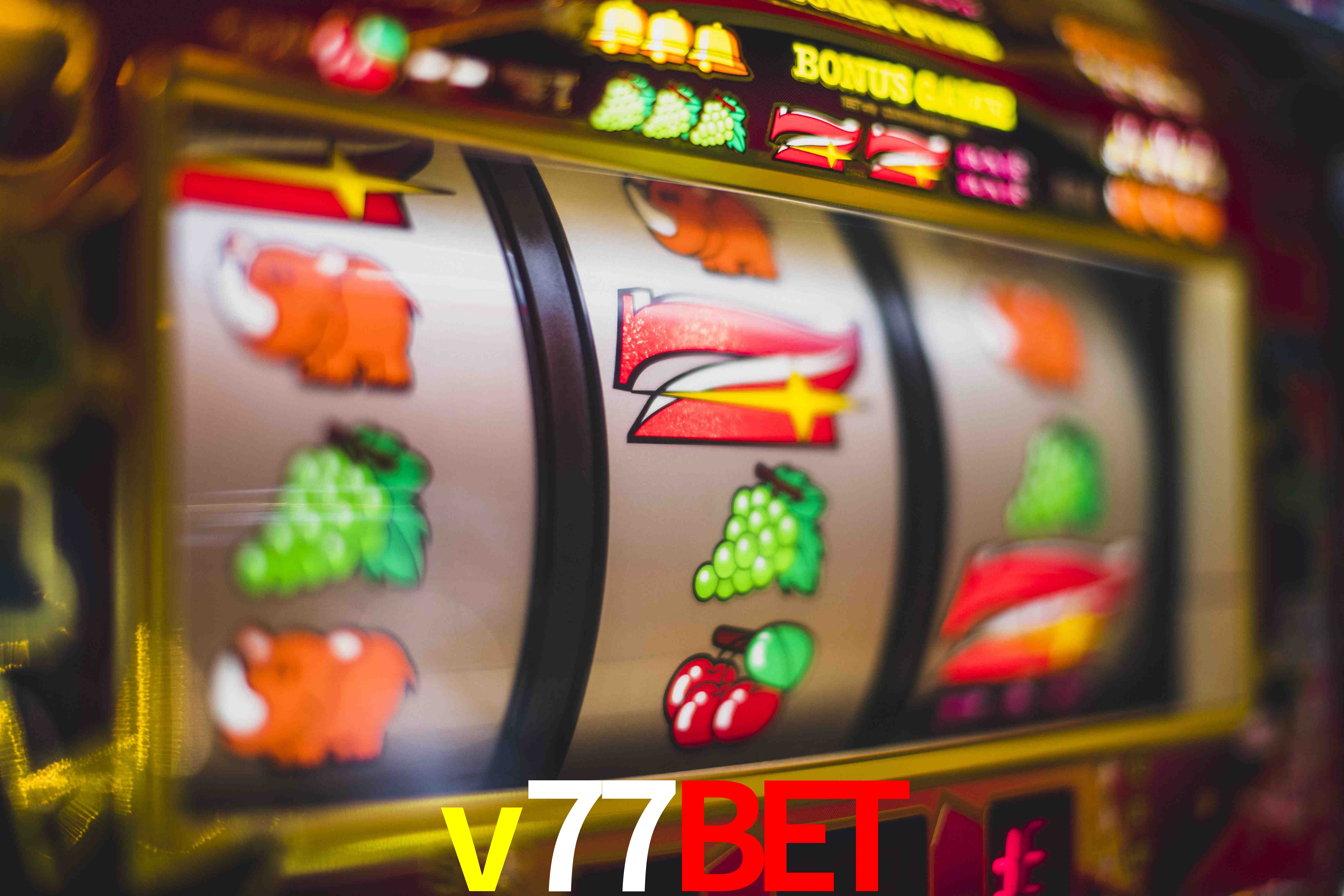 Crash Games Statistics v77bet